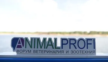 Как прошёл ANIMALPROFI 2017: Птицеводство НИТА-ФАРМ