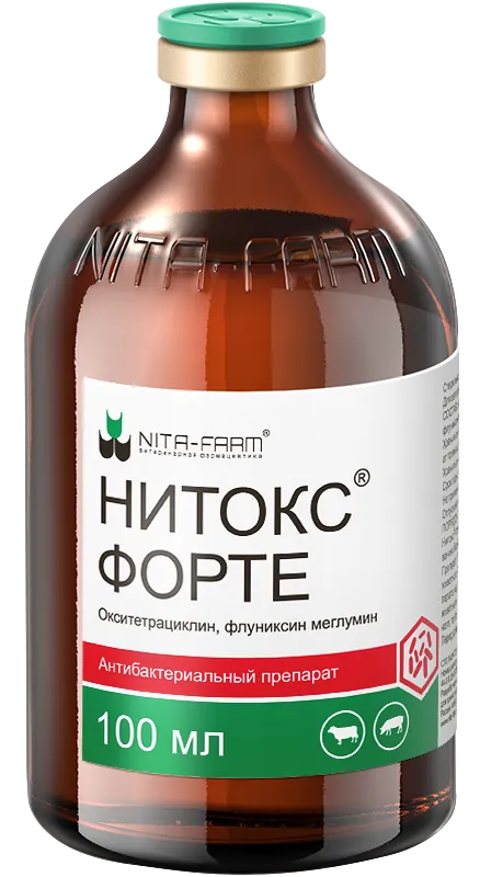 Эффективная терапия циститов свиней при помощи комплексного препарата Нитокс Форте