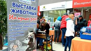 Помощь лучшим друзьям человека НИТА-ФАРМ