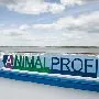 Приглашение на региональный форум ANIMALPROFI НИТА-ФАРМ