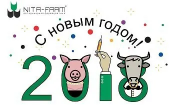 С наступающим Новым годом! НИТА-ФАРМ
