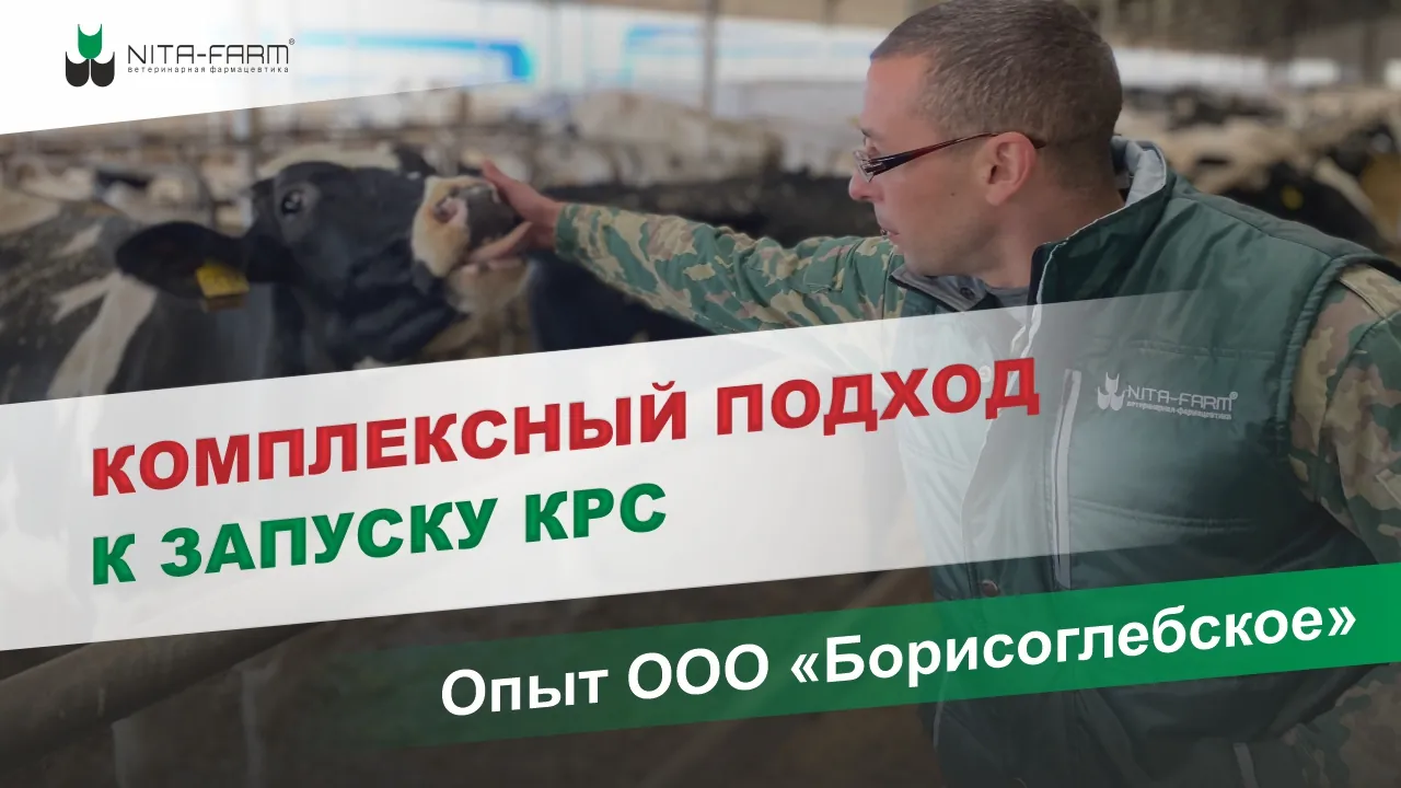 Комплексный подход к запуску коров НИТА-ФАРМ