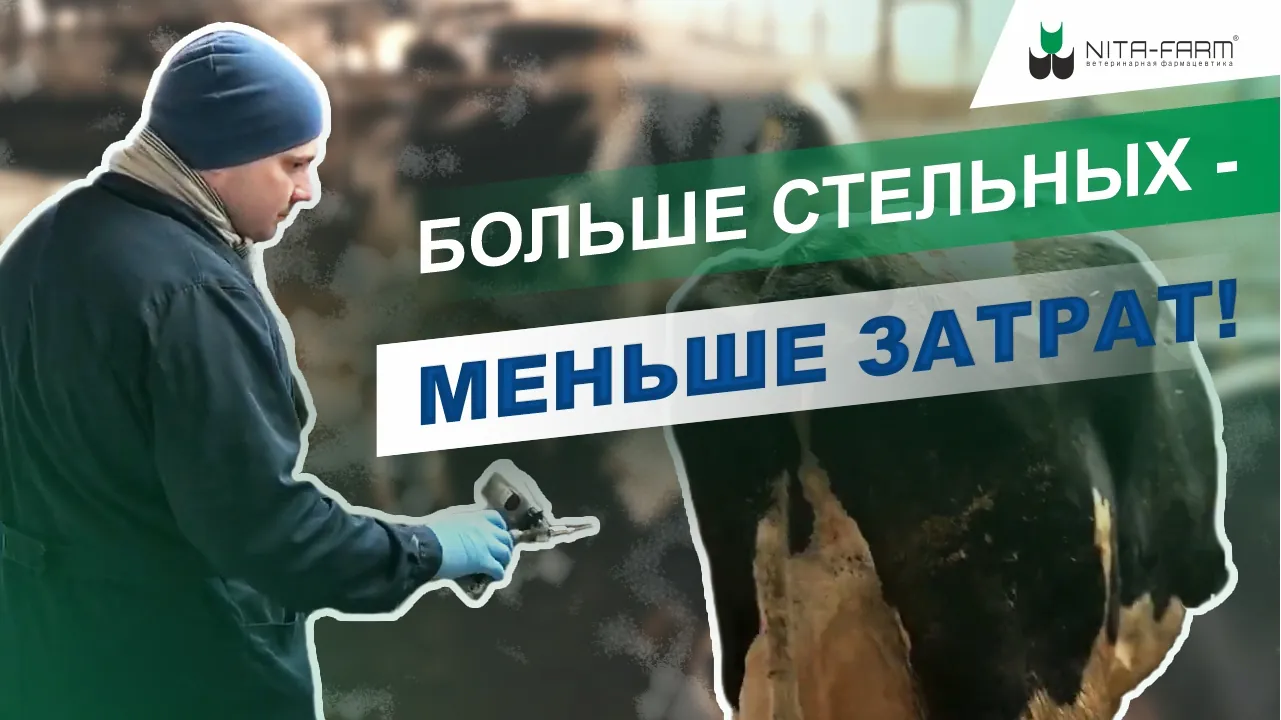 Чтобы в год у коровы по теленку рождалось! НИТА-ФАРМ