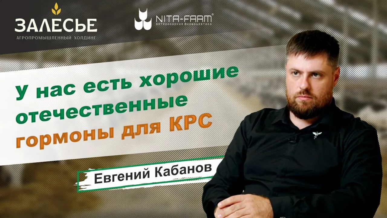 АПХ “ЗАЛЕСЬЕ”: У нас есть хорошие отечественные гормоны для КРС НИТА-ФАРМ
