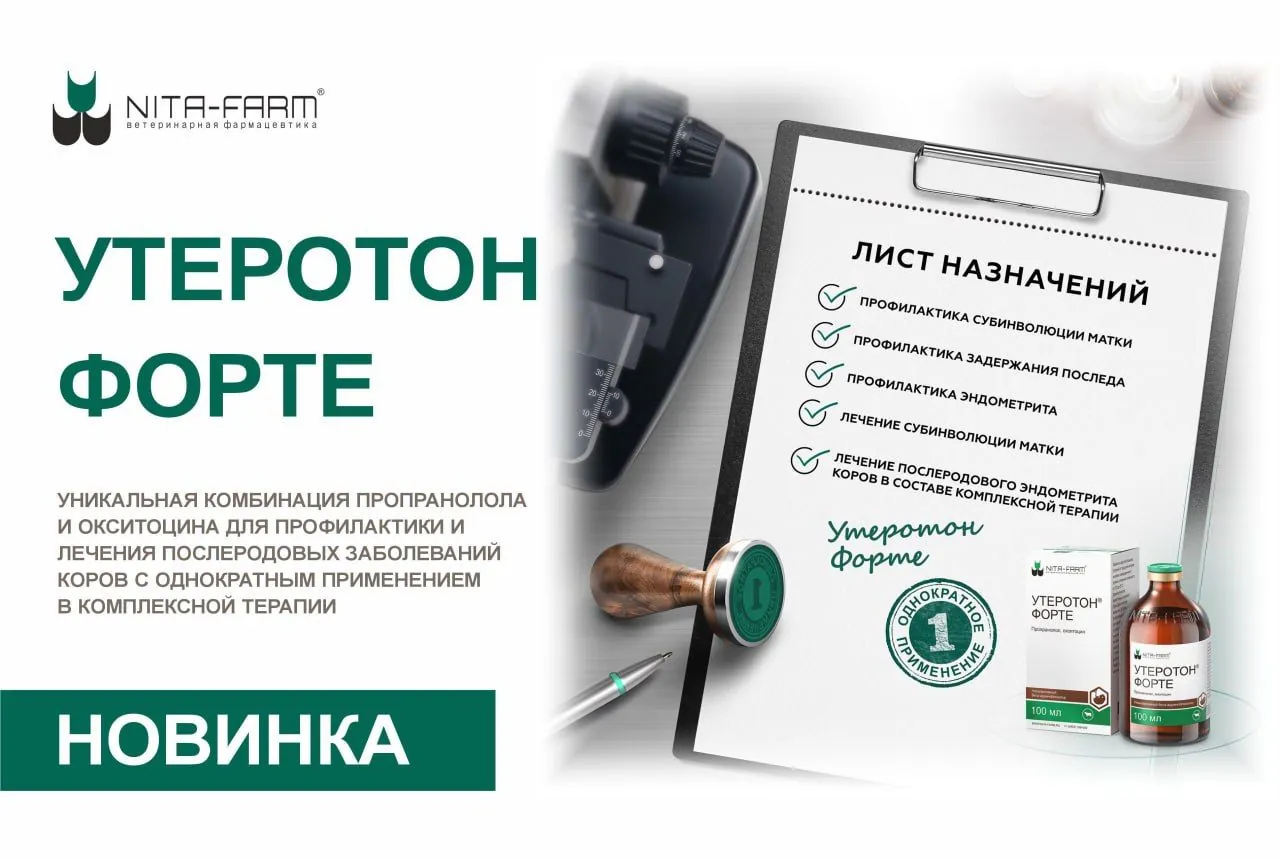 В линейке препаратов НИТА-ФАРМ новинка: «Утеротон Форте» НИТА-ФАРМ