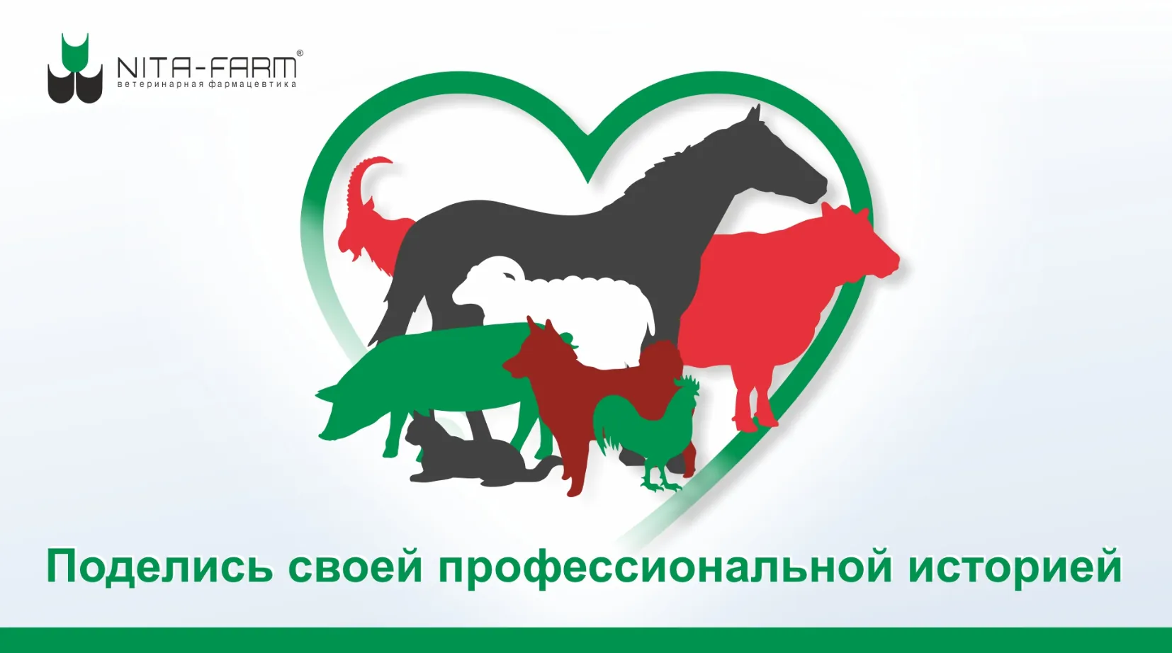 Поделитесь своей профессиональной историей НИТА-ФАРМ