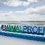 Видео и итоги Форума ANIMALPROFI 2016! НИТА-ФАРМ
