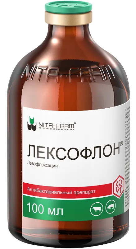 Эффективное лечение эндометритов у коров