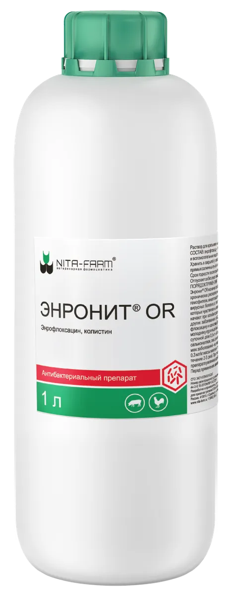 Профилактика инфекционных заболеваний у сельскохозяйственной птицы препаратом Энронит ОР