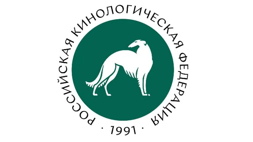 Отечественные производители поделились планами по выпуску новых лекарственных препаратов для использования в собаководстве. НИТА-ФАРМ