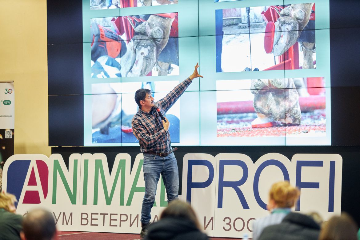 Форум ANIMALPROFI Московская область - изображение NITA FARM
