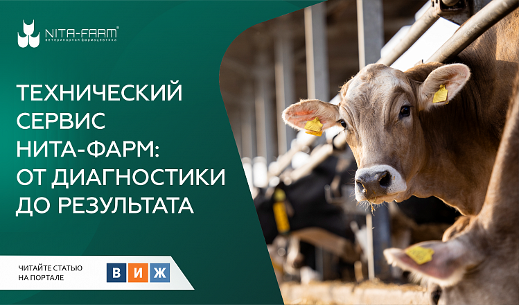 Технический сервис «НИТА-ФАРМ»: от диагностики до результата НИТА-ФАРМ